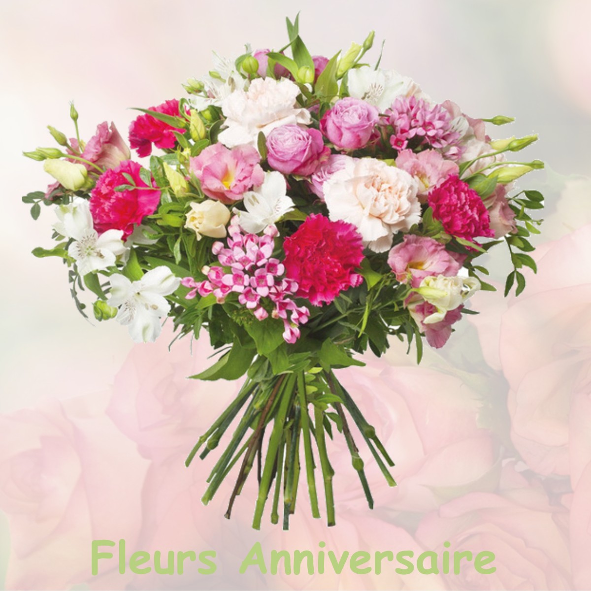 fleurs anniversaire GRISY-LES-PLATRES